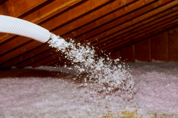 Best DIY Insulation Kits and Guidance in Monroe, MI