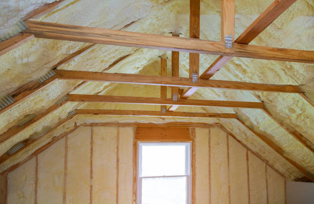 Professional Insulation Contractor in Monroe, MI