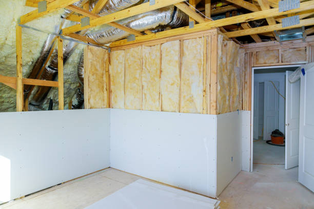 Best Residential Insulation in Monroe, MI