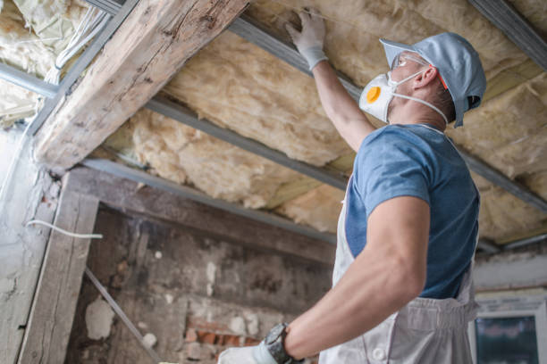 Best Insulation for Specific Applications in Monroe, MI