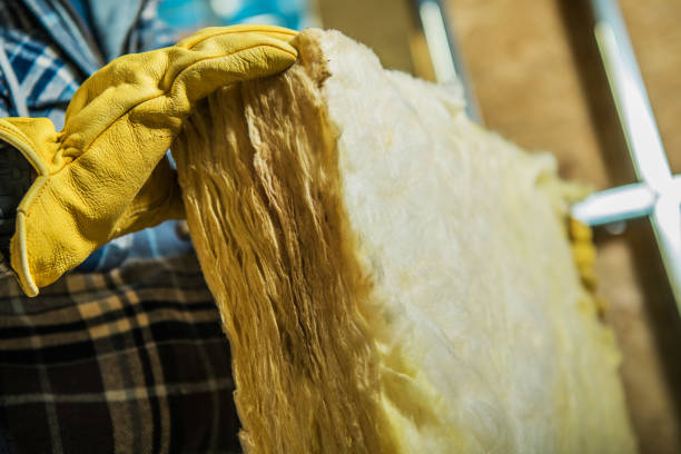 Types of Insulation We Offer in Monroe, MI
